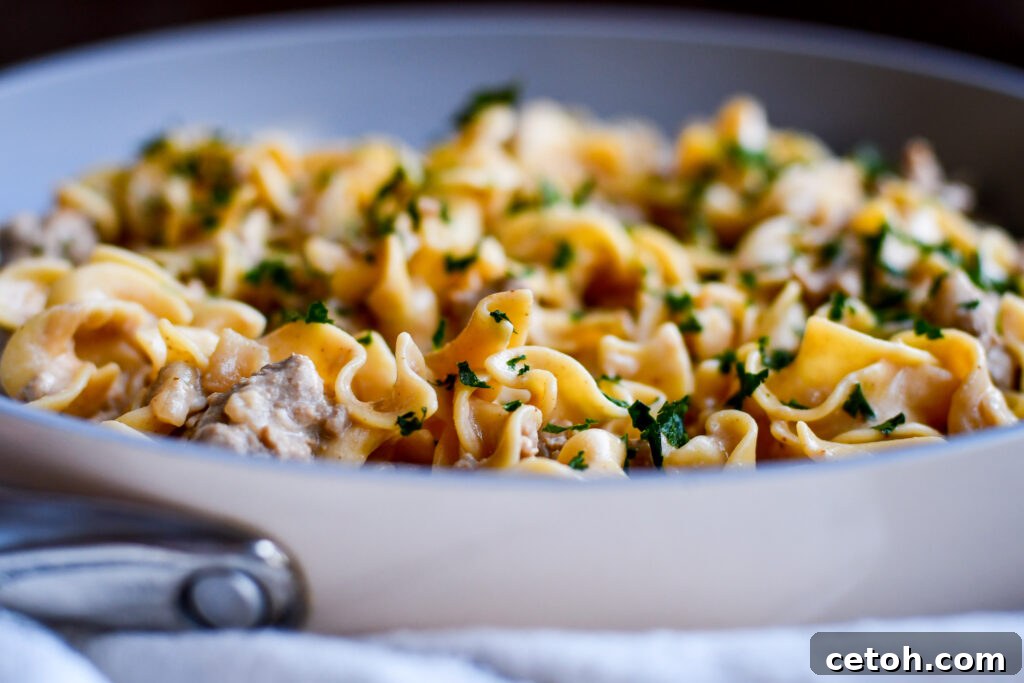 Make dinner a breeze with this Easy Ground Beef Stroganoff recipe. It's creamy, flavorful, and perfect for a quick meal!