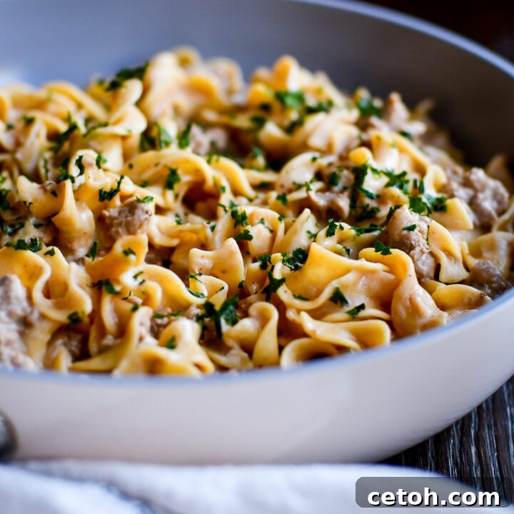 Looking for a comforting dinner? This Easy Ground Beef Stroganoff is your answer! Simple ingredients, quick prep, and amazing flavor.