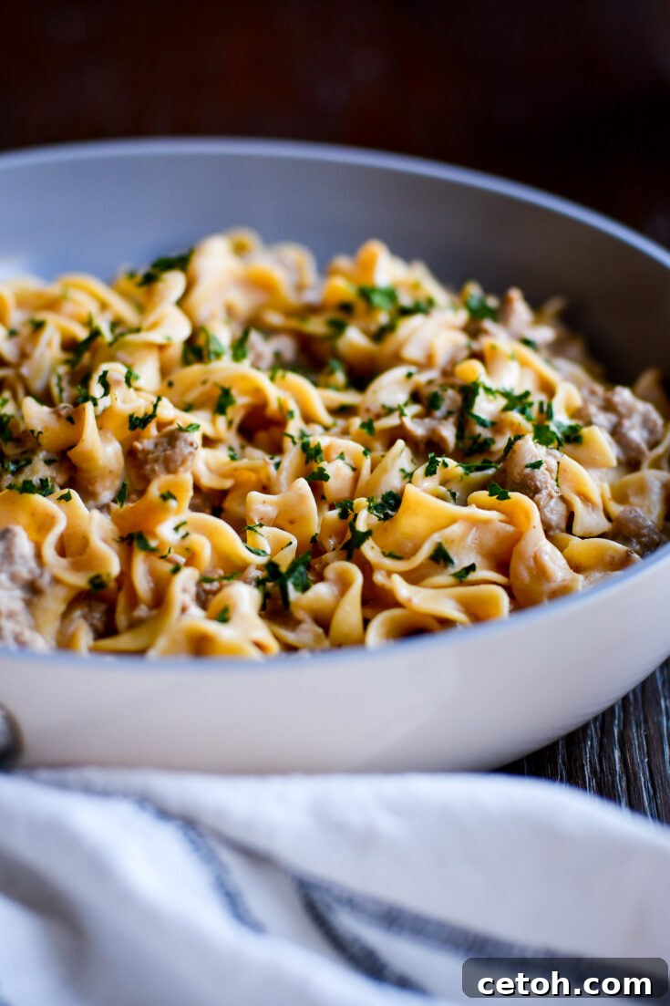 Easy Ground Beef Stroganoff Recipe