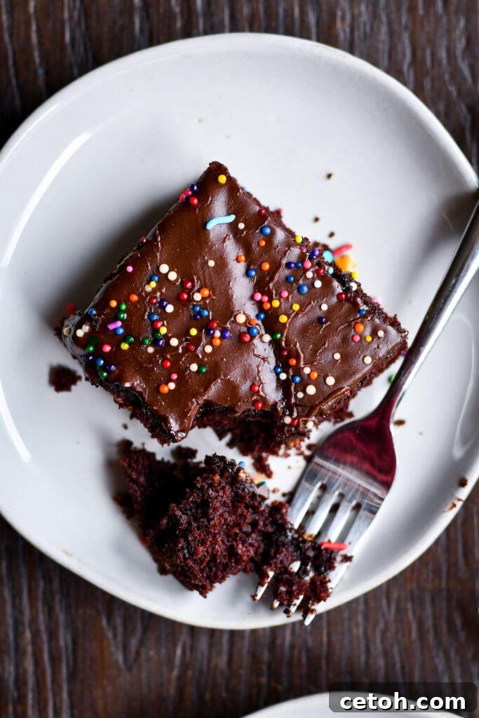 Whip up a quick and delicious Chocolate Crazy Cake using this foolproof recipe that's perfect for novice and seasoned bakers alike.