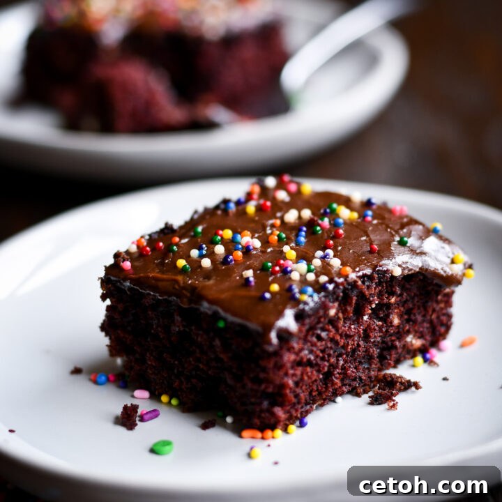 Make this simple and budget-friendly Chocolate Crazy Cake with pantry staples and enjoy a delicious, egg-free, dairy-free treat.