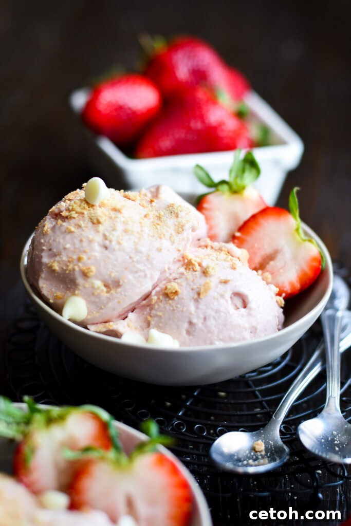 Indulge in a creamy and delicious treat with this Cottage Cheese Strawberry Ice Cream made in the Ninja Creami! Perfect for a refreshing summer dessert.