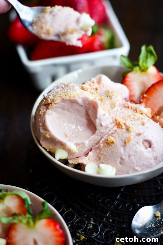 Cool down with our Cottage Cheese Strawberry Ice Cream! This Ninja Creami recipe is a perfect blend of creamy cottage cheese and sweet strawberries.