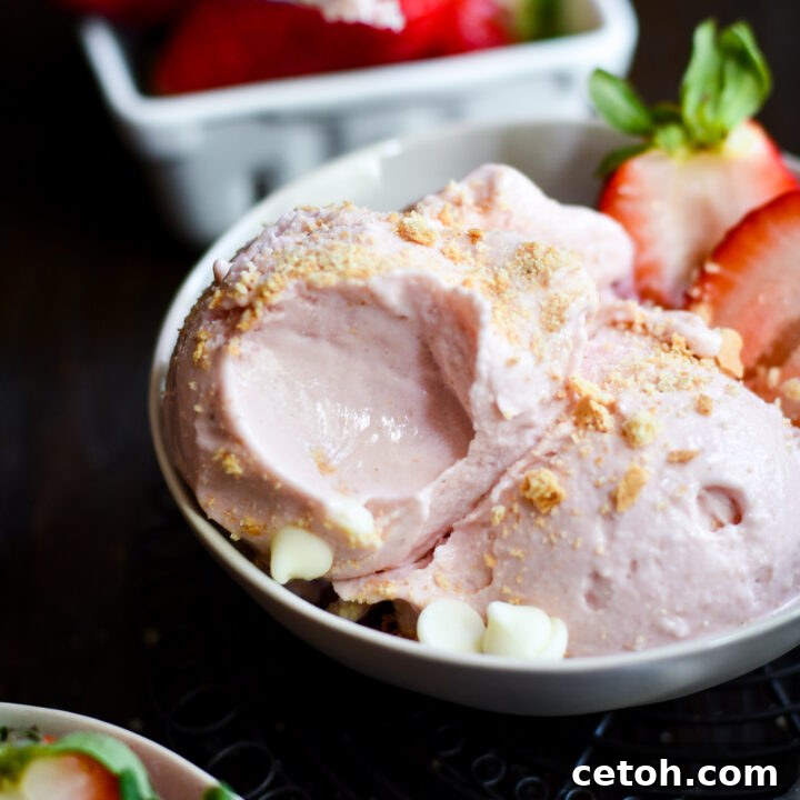 Cool down with our Cottage Cheese Strawberry Ice Cream! This Ninja Creami recipe is a perfect blend of creamy cottage cheese and sweet strawberries.