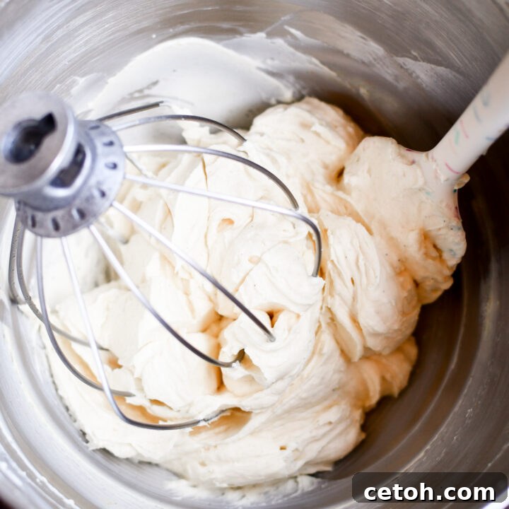 Learn how to make stabilized whipped cream that holds its shape for hours. Perfect for cakes, cupcakes, and desserts!