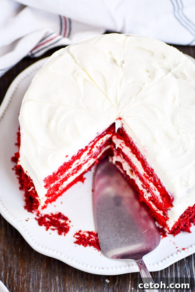 Create picture-perfect desserts every time with this incredible stabilized whipped cream recipe – light, fluffy, and always pipeable!