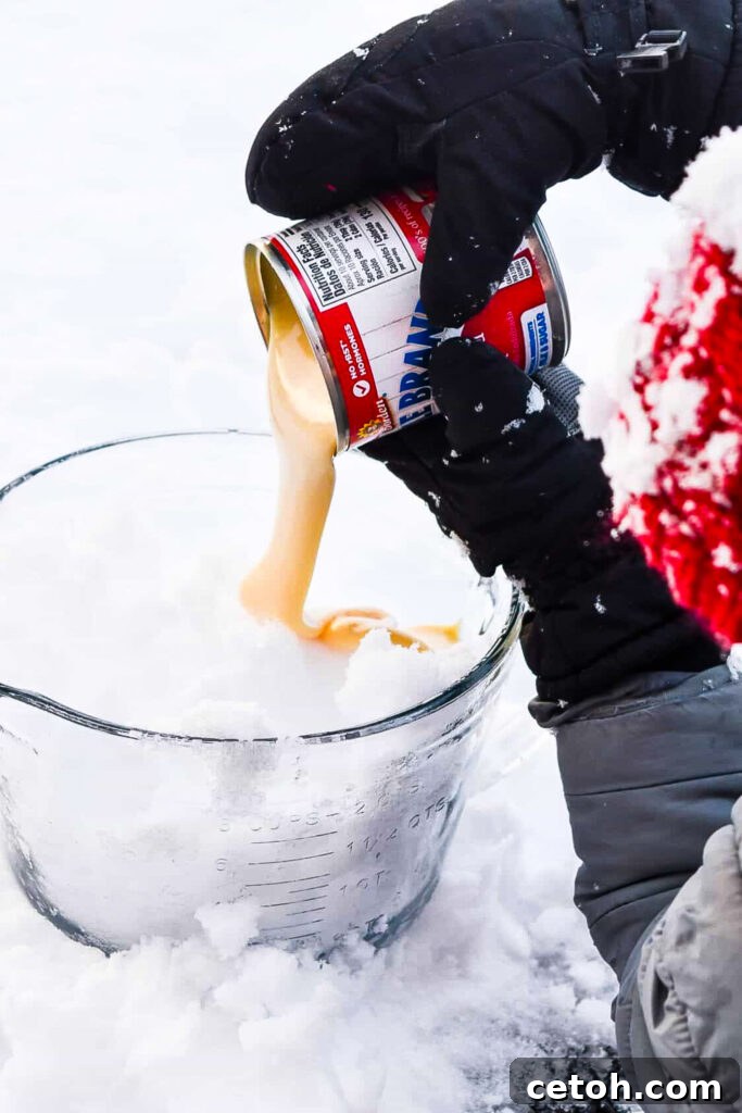 Discover how to make this simple and delicious snow cream recipe with just a few ingredients and fresh snow. Perfect for snowy days and family fun!