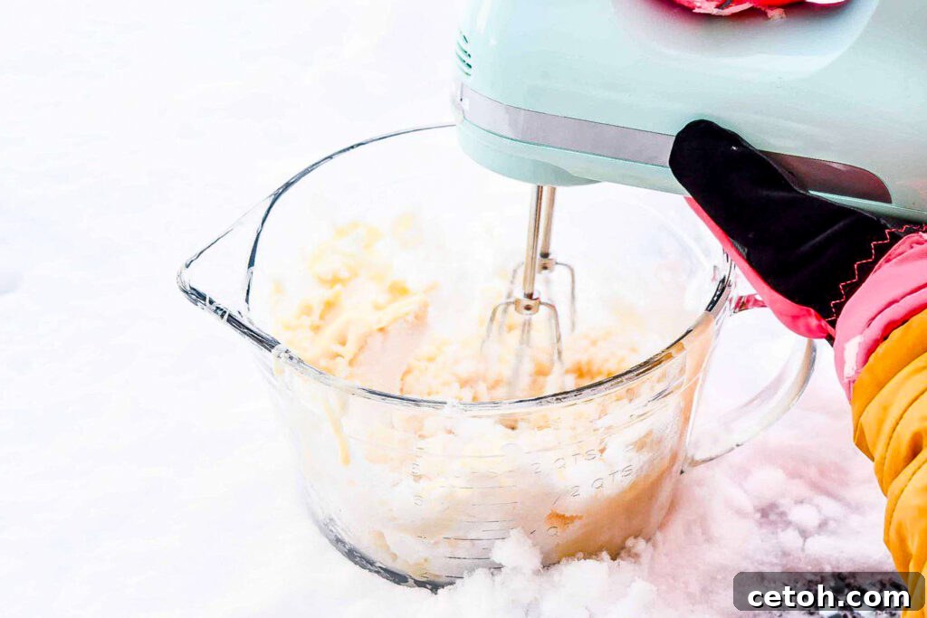 Enjoy the magic of snow with this easy homemade snow cream recipe. A creamy, sweet treat for snowy days that the whole family will love!