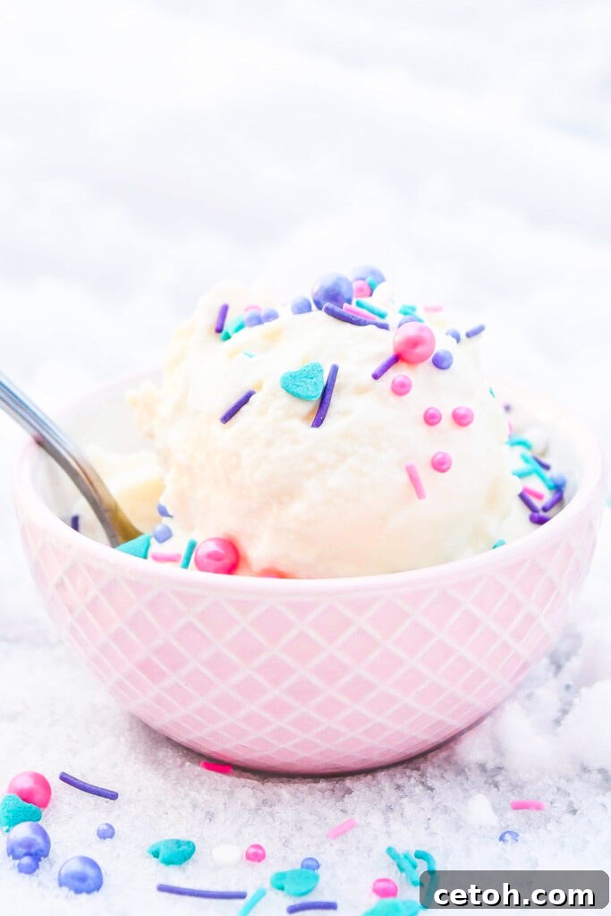 Enjoy a snowy day with this quick and easy snow cream recipe. A family-friendly treat made with fresh snow and simple ingredients!
