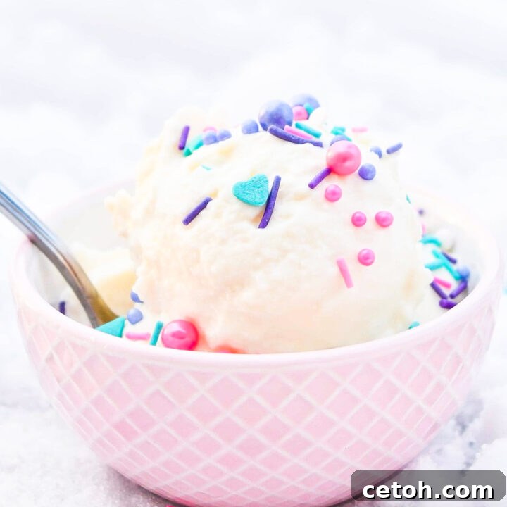 Enjoy a snowy day with this quick and easy snow cream recipe. A family-friendly treat made with fresh snow and simple ingredients!