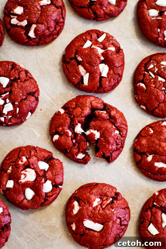 Soft, chewy, and made from scratch! No cake mix needed for these easy, bakery-style cookies. Perfect for Valentine’s Day or any occasion! ❤️ #RedVelvetCookies #HomemadeCookies