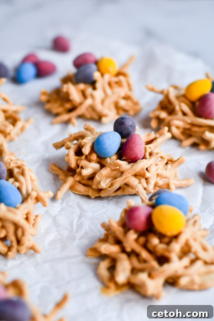 Celebrate Easter with this fun no bake dessert! Bird’s nest cookies are crunchy, chocolatey, and topped with candy eggs. Perfect for spring parties and Easter baskets.