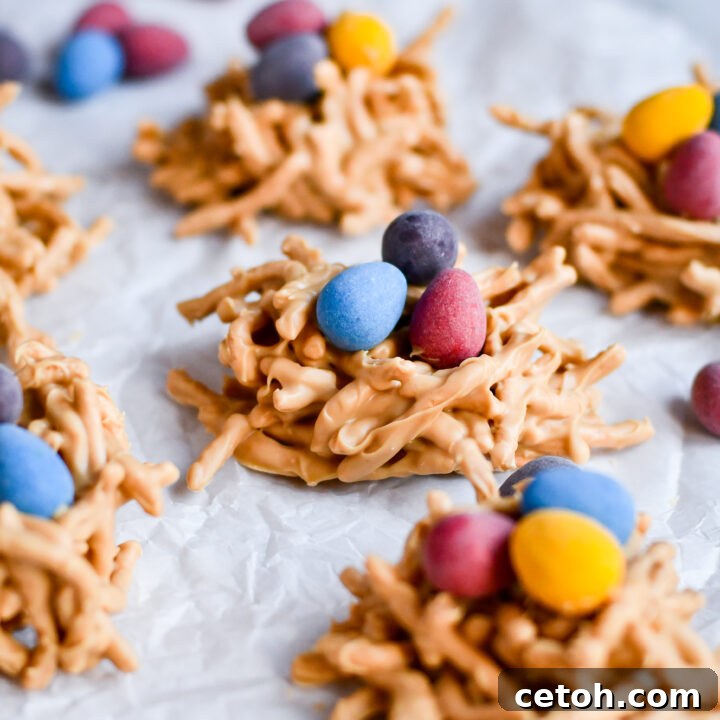 Celebrate Easter with this fun no bake dessert! Bird’s nest cookies are crunchy, chocolatey, and topped with candy eggs. Perfect for spring parties and Easter baskets.