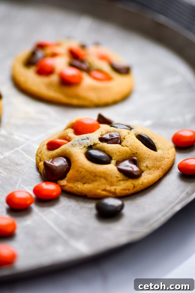 The secret to ultra-soft, bakery-style M&M cookies that stay chewy for days — made with instant pudding mix!