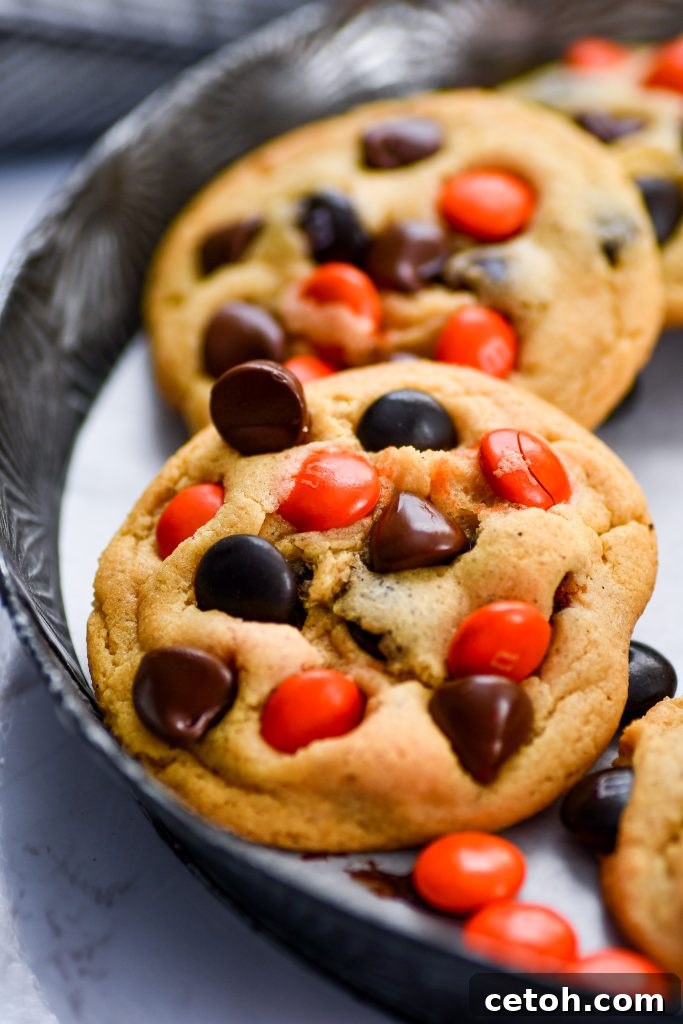 No chill time, no fuss — just perfectly soft, chewy cookies ready in under 30 minutes.