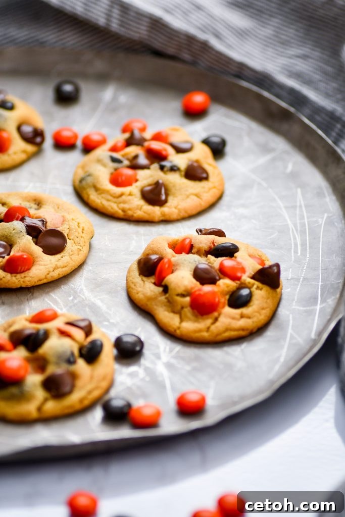 These easy pudding cookies are soft, thick, and chewy — no chill time needed! Loaded with colorful M&Ms and chocolate chips for the perfect bakery-style treat.