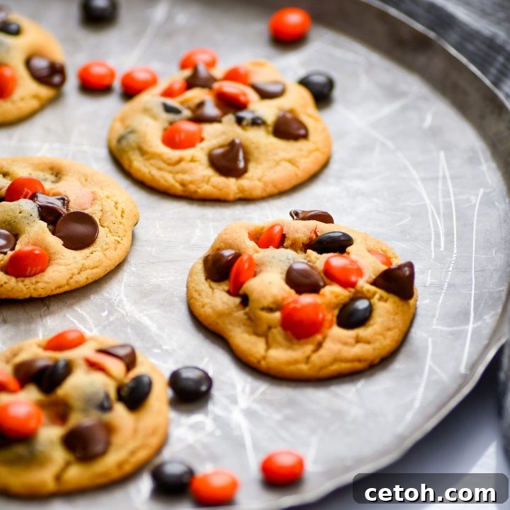 These easy pudding cookies are soft, thick, and chewy — no chill time needed! Loaded with colorful M&Ms and chocolate chips for the perfect bakery-style treat.