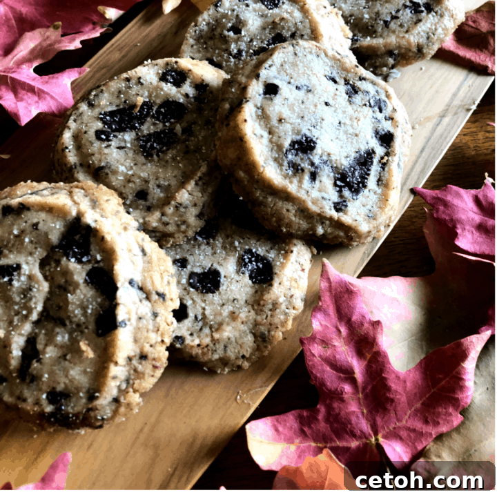 Close-up of baked Chocolate Chunk Shortbread Cookies