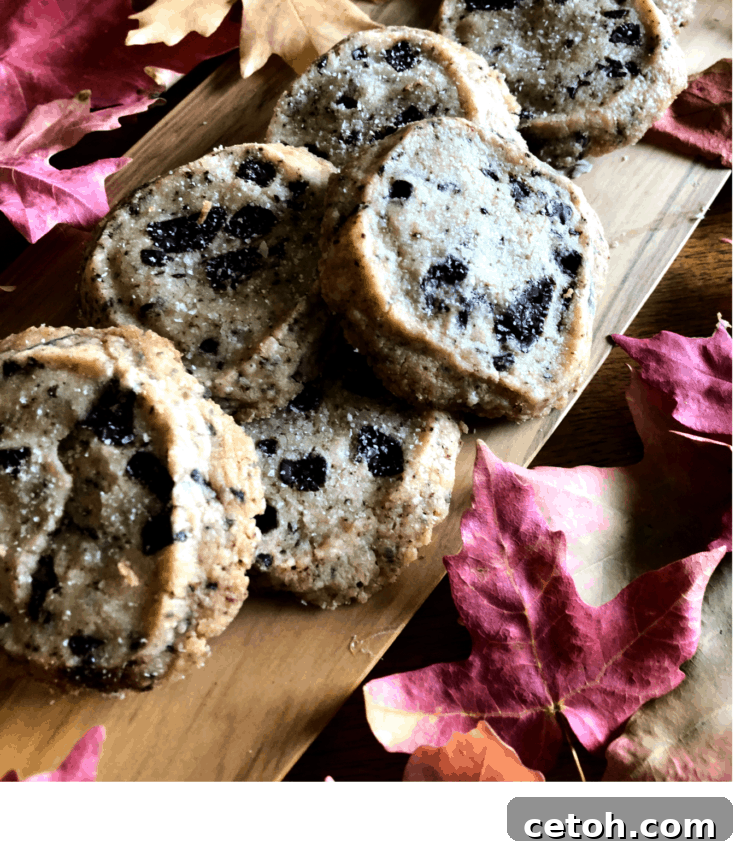 Stacked Chocolate Chunk Shortbread Cookies with a bite taken out