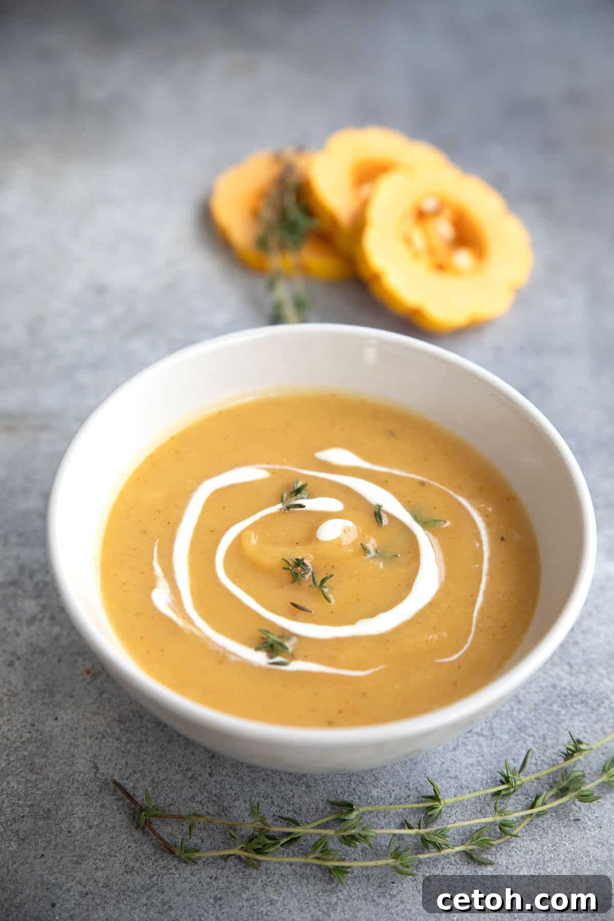 A white bowl filled with Roasted Delicata Squash Soup on a gray table, with rings of delicata squash in the background.