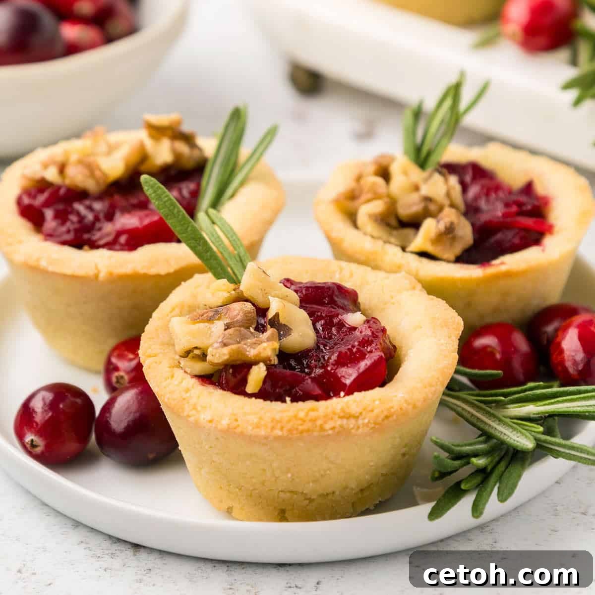 Three Keto Cranberry Brie Bites on a small white plate.