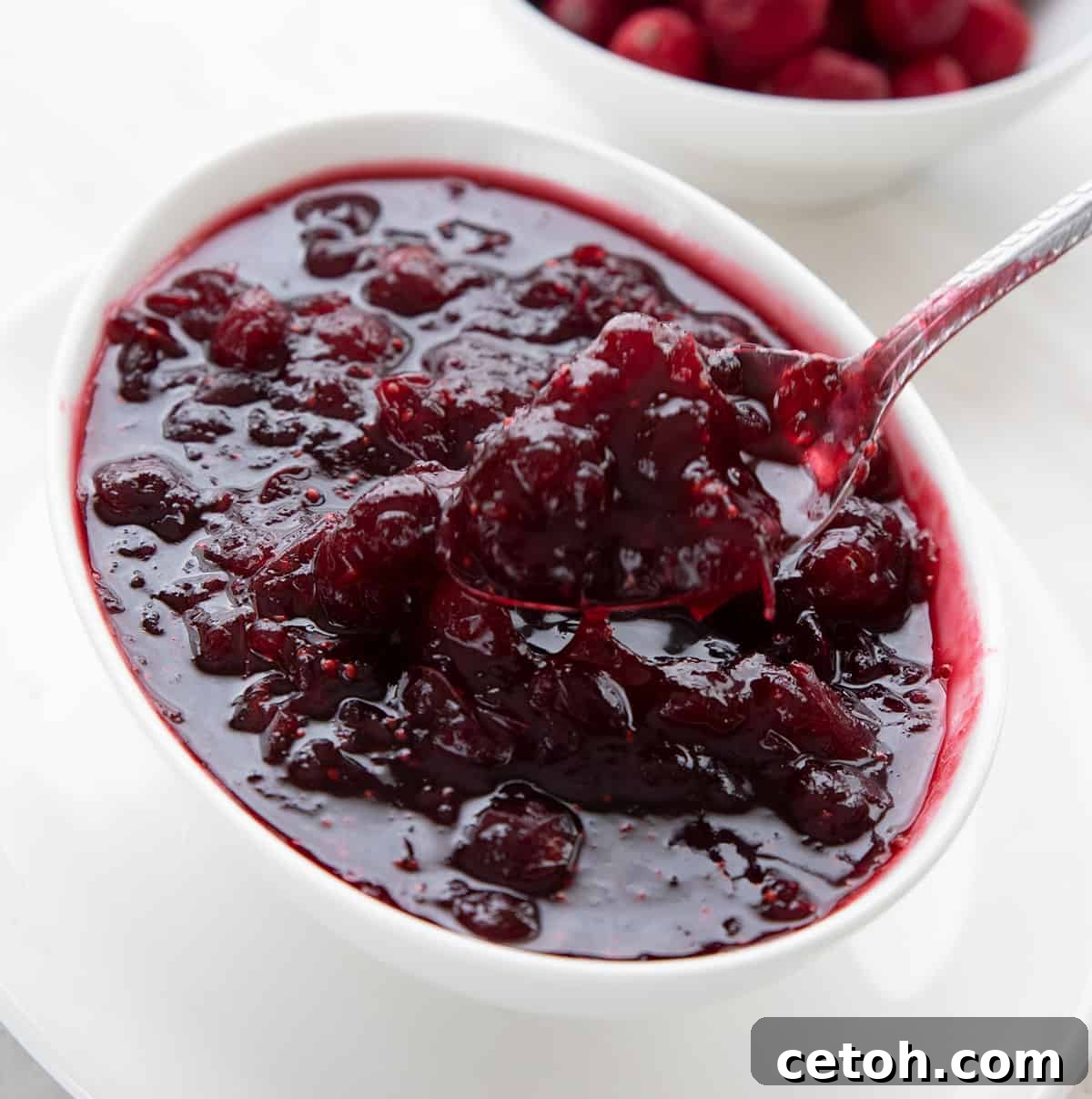 Sugar Free Cranberry Sauce in a white oval bowl.