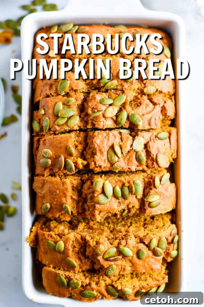 Starbucks-Inspired Spiced Pumpkin Bread 2 Recreate fall vibes in your kitchen with our Copycat Starbucks Pumpkin Bread - a moist, spiced, and utterly delicious homemade version of your favorite seasonal treat. It's pumpkin bread magic!