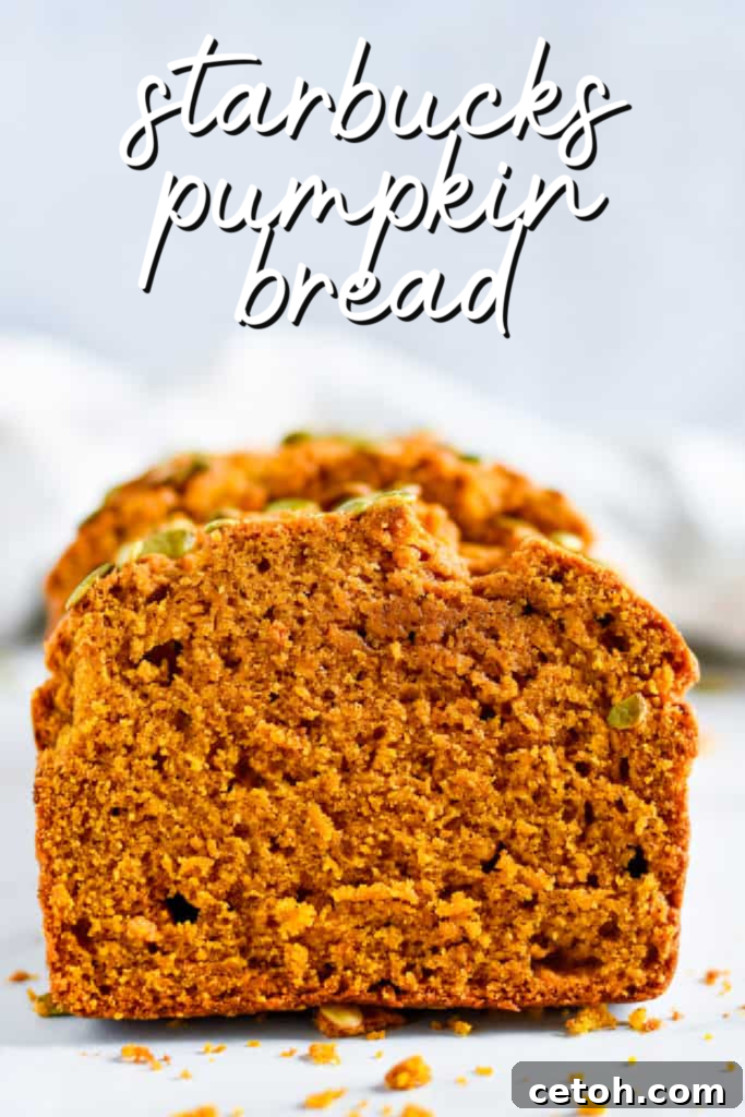 Starbucks-Inspired Spiced Pumpkin Bread 3 Indulge in homemade goodness with our Starbucks-inspired Pumpkin Bread recipe - achieve professional bakery results at home with ease. It's baking magic at home!