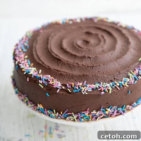 Keto Cake with chocolate frosting and sprinkles on a white cake stand on a white wooden table. The cake is festive and appealing.