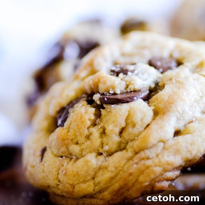 How to Make the Chewiest Chocolate Chip Cookies Ever!