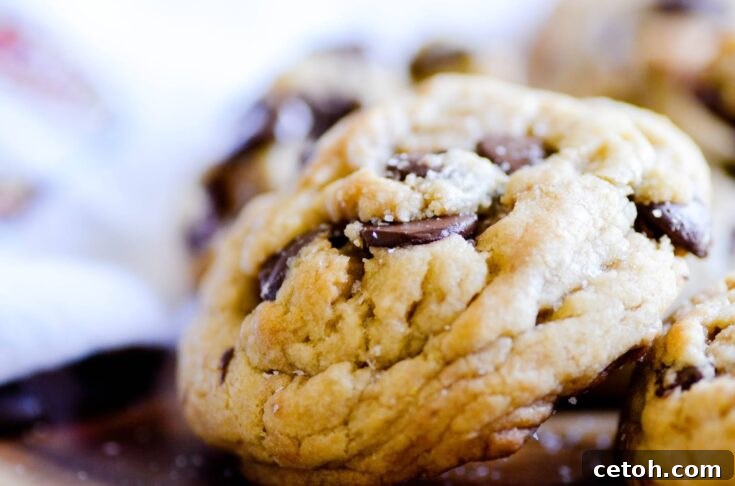Thick and chewy brown sugar chocolate chip cookies with melted chocolate.