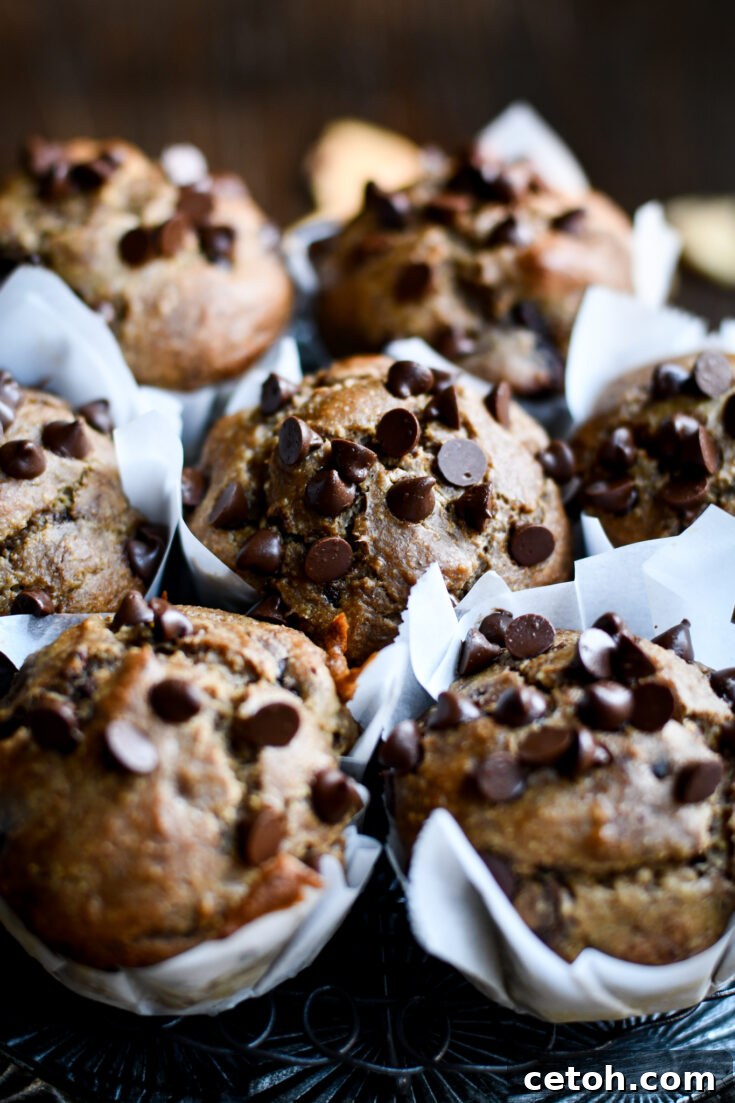 Gluten-Free Dairy-Free Chocolate Chip Banana Muffins