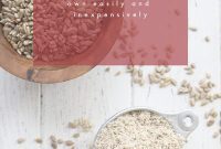 Crafting Homemade Sunflower Seed Flour