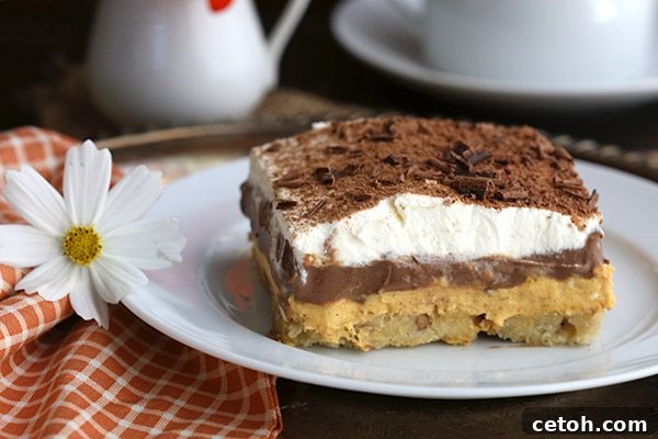 A perfectly sliced portion of sugar-free pumpkin chocolate layered dessert, known as Sex in a Pan, revealing its creamy layers.