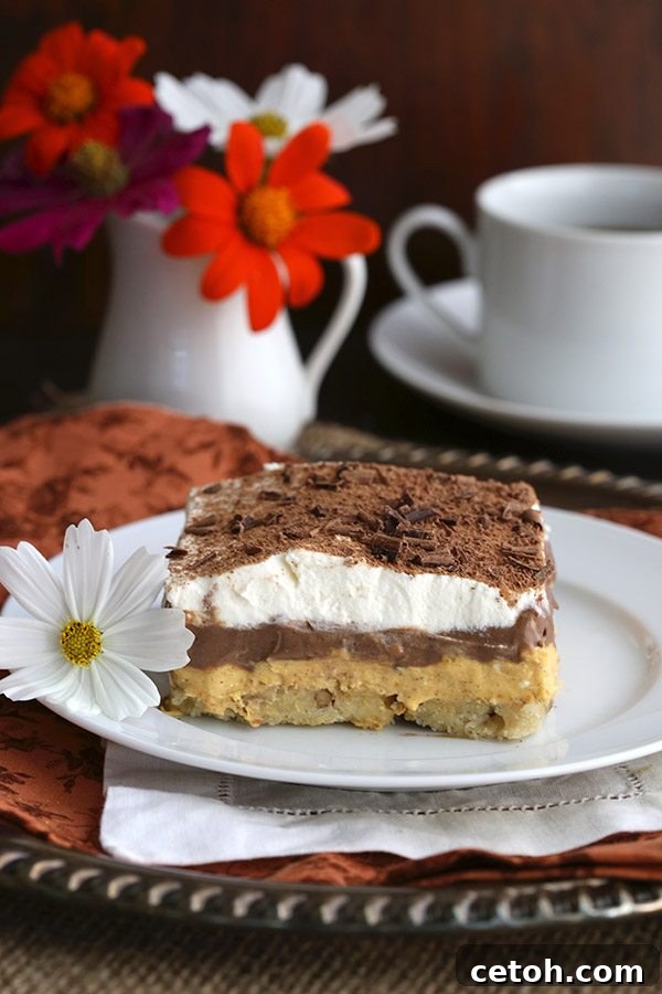 An overhead shot of Low Carb Chocolate Pumpkin Lasagna, showcasing its distinct, delicious layers, a perfect keto, gluten-free, and low-carb pumpkin dessert.