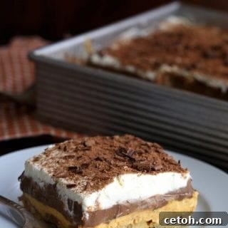 Pumpkin Sex In A Pan Dessert