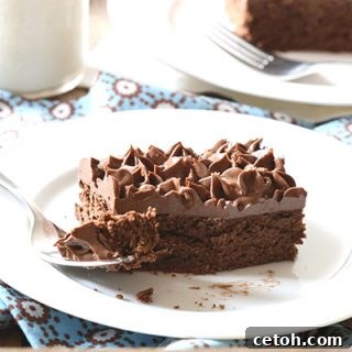 Dig in! The best THM low carb chocolate snack cake recipe.