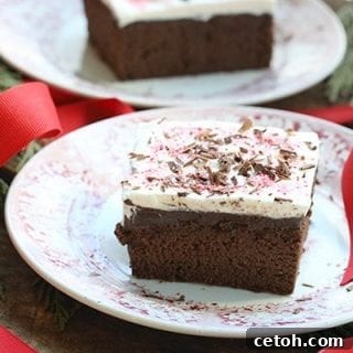 A slice of low carb peppermint mocha poke cake, topped with whipped cream and crushed peppermint. Grain-free and sugar-free.