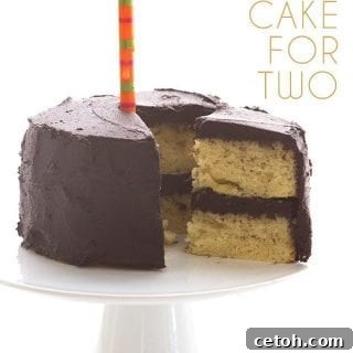 A Slice of Sunshine for Two 2 Low Carb Classic Yellow Cake for Two with Chocolate Frosting