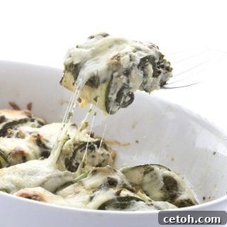 Pesto Zucchini Lasagna Rolls