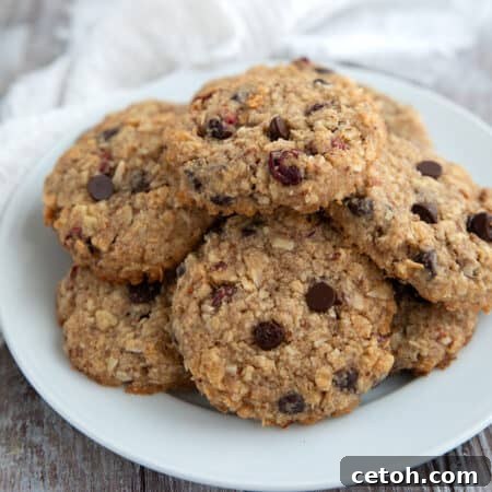 Delicious Keto Oatmeal Cookies 2 Keto Oatmeal Cookies on a white plate on a gray wooden table.