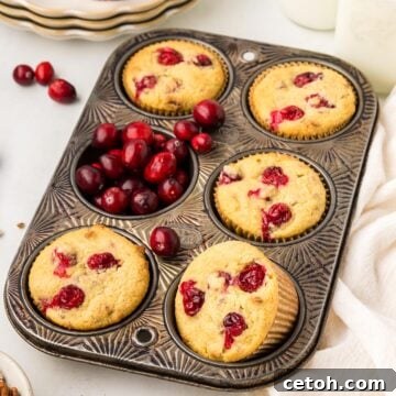Keto Cranberry Muffins in a muffin tin with fresh cranberries filling one of the wells, highlighting the recipe's visual appeal.