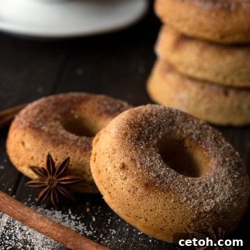 Close up shot of two keto chai spice donuts on a brown table with cinnamon sticks and star anise.