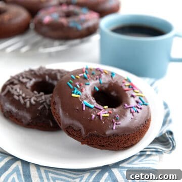 Decadent Keto Chocolate Donuts 5 Two sugar free donuts on a white plate over a blue patterned napkin.