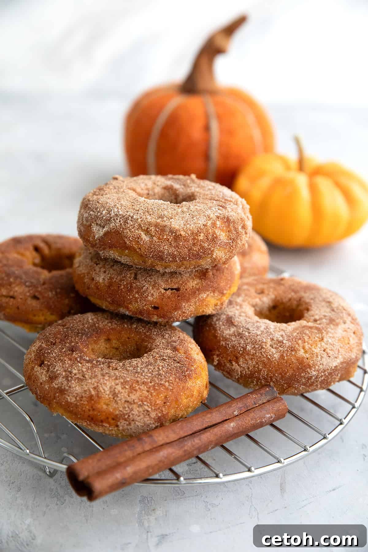 Decadent Keto Chocolate Donuts 2 Pumpkin Donuts in a stack on a cooling rack in front of a mini pumpkin.
