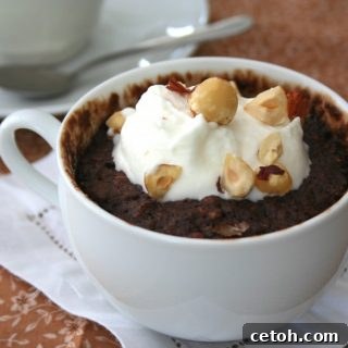 Low Carb Chocolate Hazelnut Mug Cake