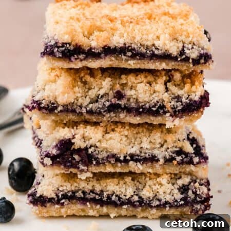 A stack of Keto Blueberry Breakfast Bars on a white plate, ready to be served.