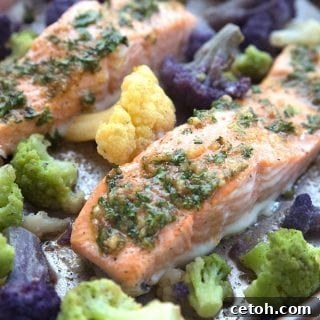 Two salmon filets on a sheet pan with veggies