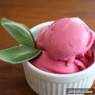 Blackberry Sage Frozen Yogurt