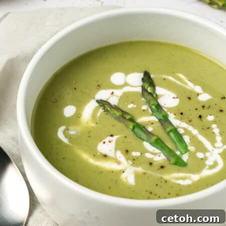 A white bowl filled with Cream of Asparagus Soup with coconut milk drizzled over and two asparagus tips on top.